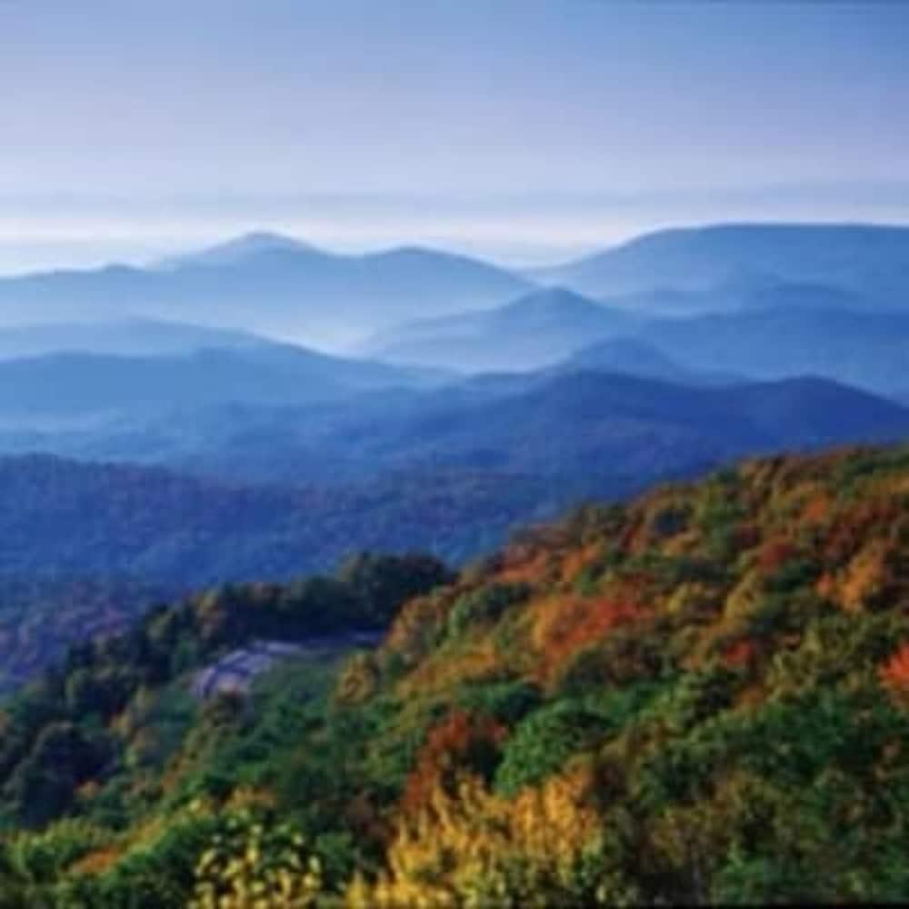 Biltmore Village Inn B&B 애쉬빌 외부 사진